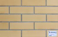 Клинкерная плитка Plato Eco 5101