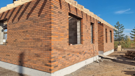 Облицовочный кирпич СЗЛК Флеш-обжиг "Ольха" одинарный М150