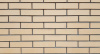 Облицовочный кирпич Маркинский одинарный 1НФ солома гладкий М150