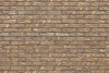 Облицовочный кирпич Береста 1НФ  М150